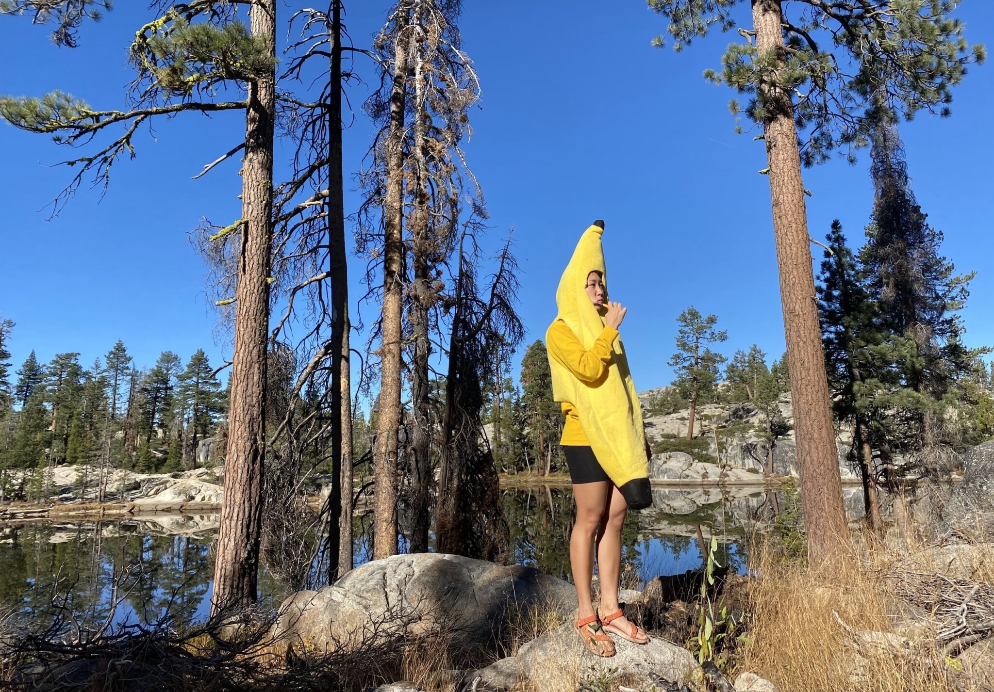Anna Lee in a banana costume.